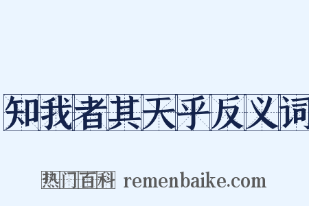 知我者其天乎反义词是什么意思的图片